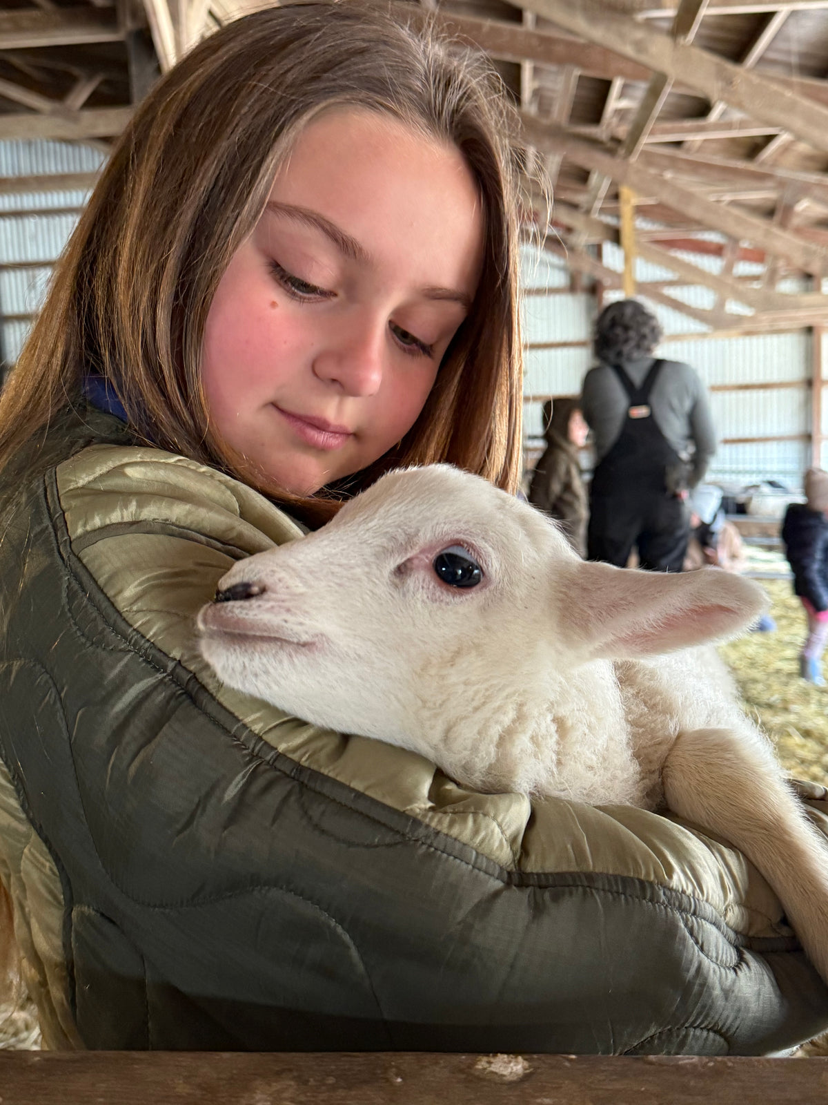 Fallen Aspen Farm Field Trip!
