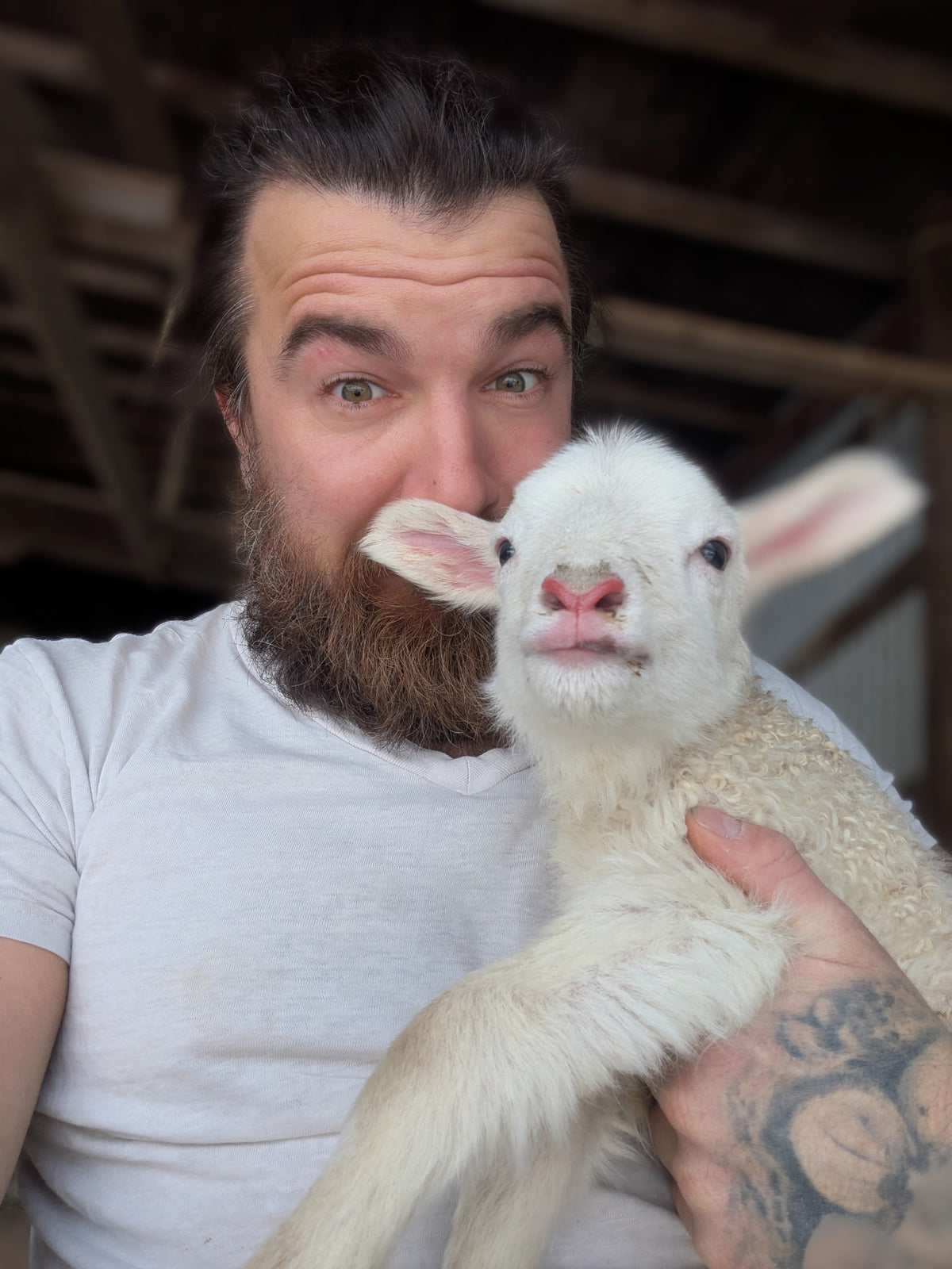 Fallen Aspen Farm Field Trip!