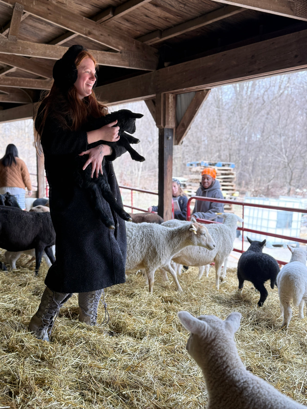 Fallen Aspen Farm Field Trip!