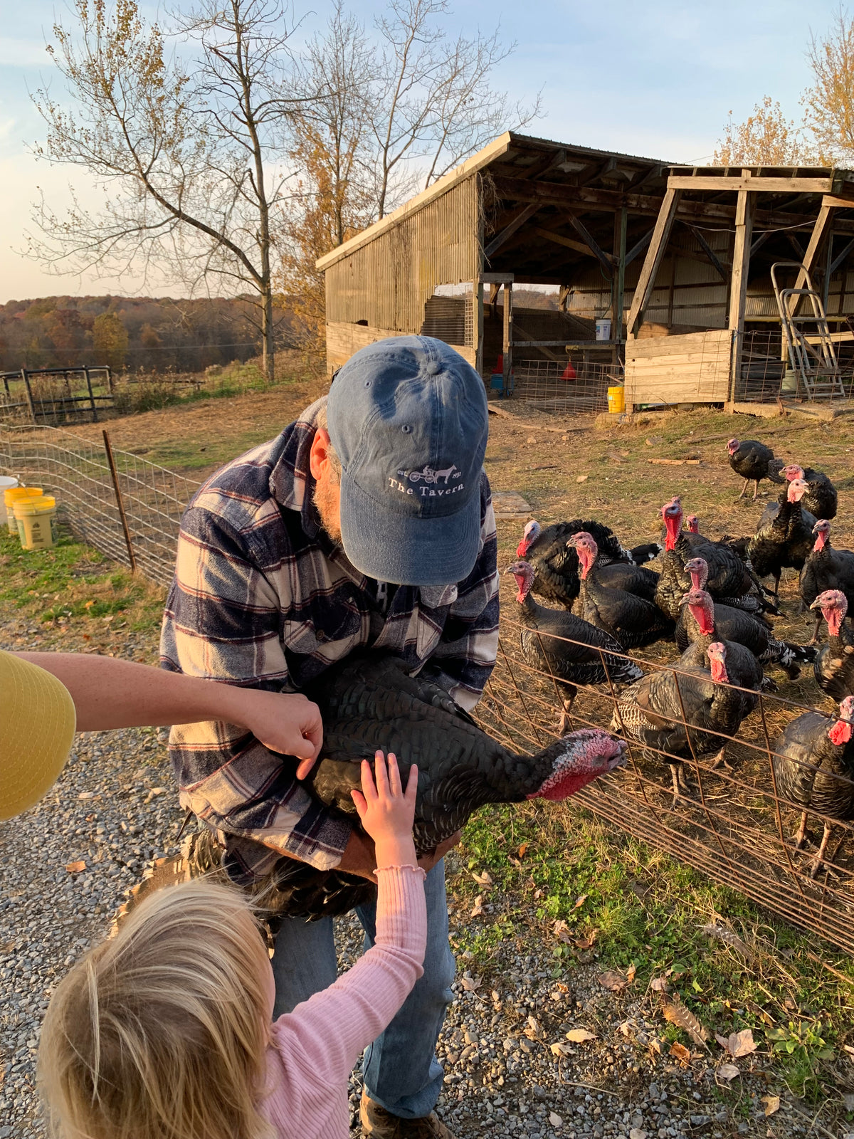 Turkey Tour Field Trip