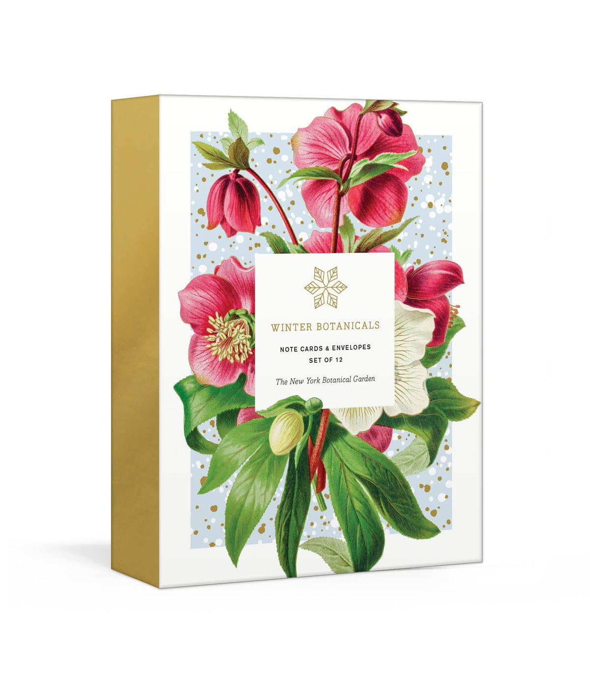Winter Botanicals Note Cards
Note Cards and Envelopes